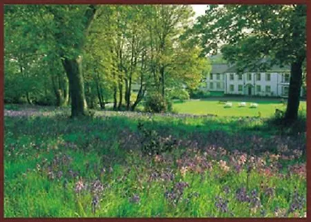 Country house Rosemundy House